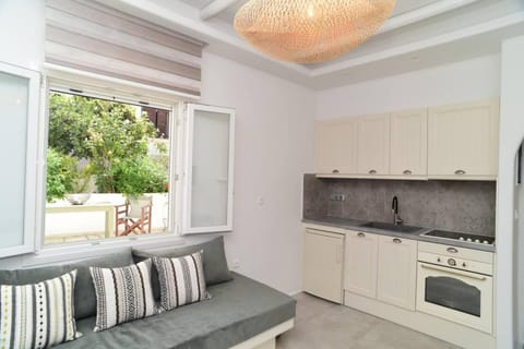 Kitchen or kitchenette, Living room, stove