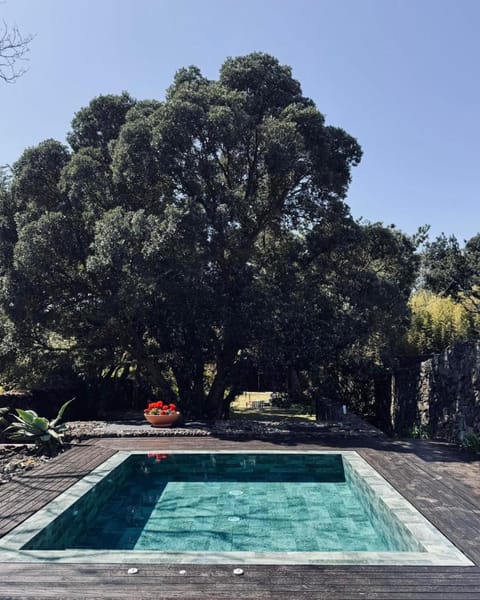 Garden view, Pool view, Swimming pool