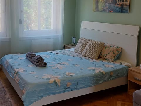 Monica's Apartman Apartment in Szeged