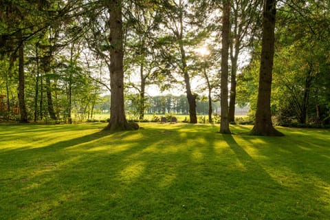 Spring, Day, Natural landscape, Garden, Garden view