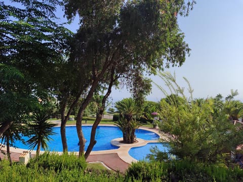 Garden, Swimming pool, Swimming pool