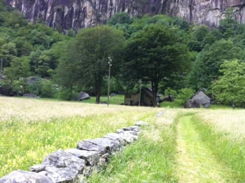 rustico Lele Country House in Canton of Ticino