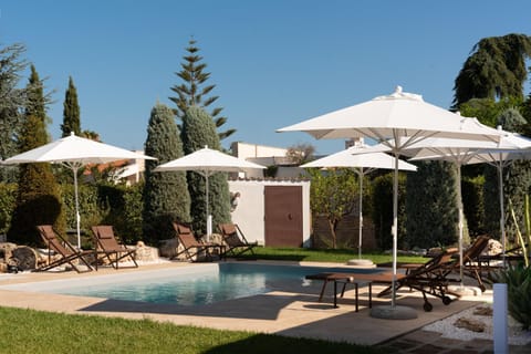 Garden, Garden view, Pool view, Swimming pool, Swimming pool, sunbed