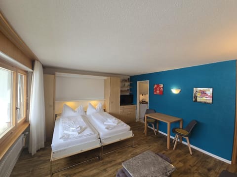 Panorama 20, Grosses Studio, Nahe Ski-Pisten, Parkplatz Apartment in Canton of Valais