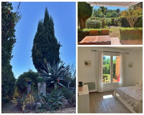 Garden, Garden view