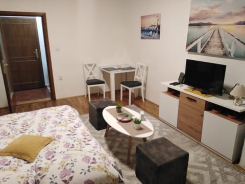 Sola1 Apartment in Novi Sad
