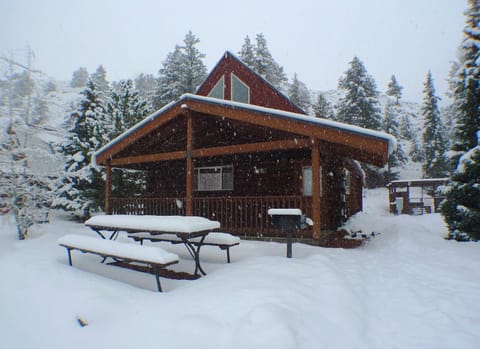 Cabin 28 Cabin in Colorado