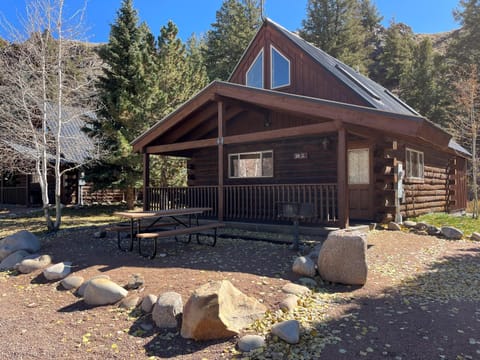 Cabin 28 Cabin in Colorado
