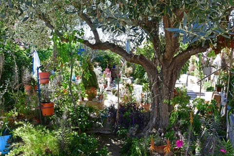 Kalokenti Studios Apartment in Argolis, Greece