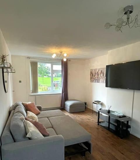 Communal lounge/ TV room, TV and multimedia, Living room