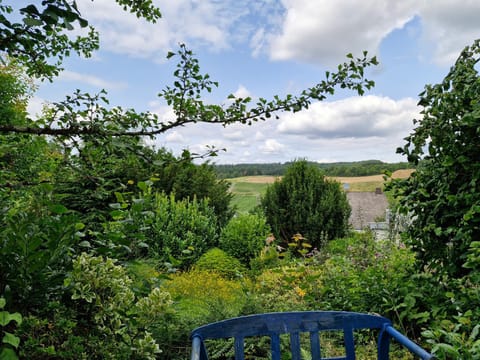 Day, Natural landscape, Garden, View (from property/room), Garden view