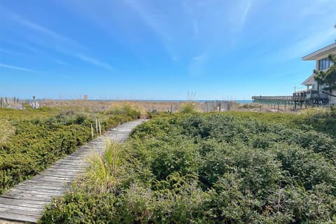 A Short Walk by Sea Scape Properties House in Wrightsville Beach
