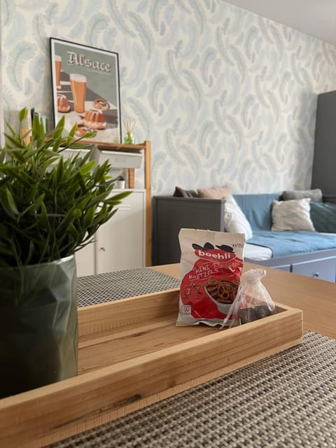 Logement Les Plumes Apartment in Strasbourg