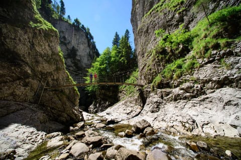 Erlebnis-Restaurant & Berghotel Rossweid Hotel in Canton of Lucerne