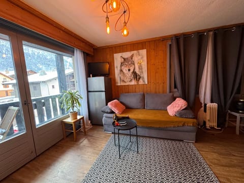 Appartement vue Montblanc 5mn piste2 Apartment in Les Houches