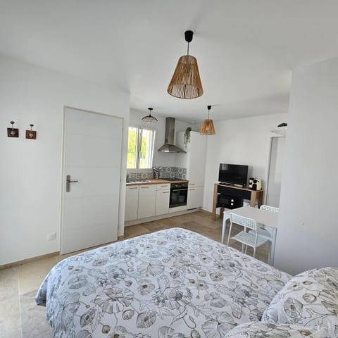 Bed, TV and multimedia, View (from property/room), Kitchen or kitchenette, Photo of the whole room