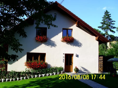 Property building, Facade/entrance, Summer, Garden