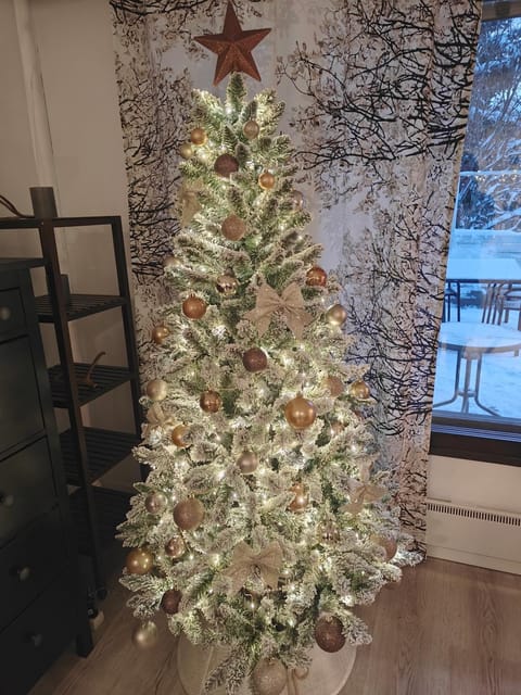 Upea rivitalon päätyhuoneisto Apartment in Rovaniemi