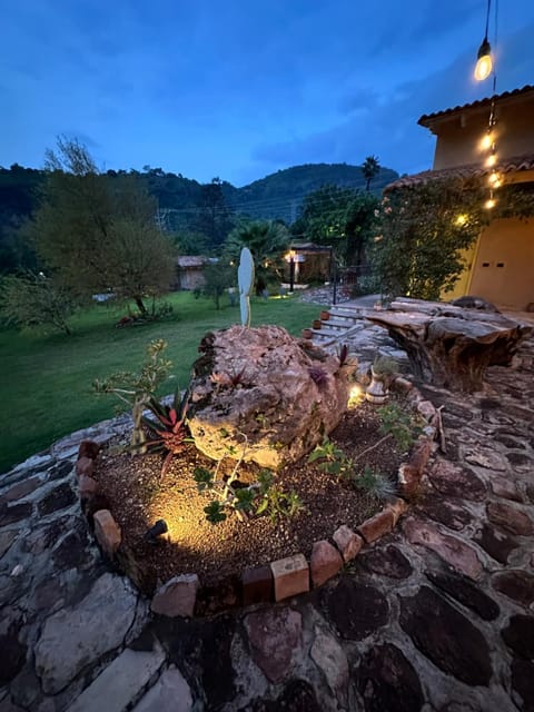 Night, Garden, Mountain view
