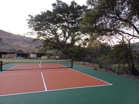 Garden, Decorative detail, Tennis court, Entertainment