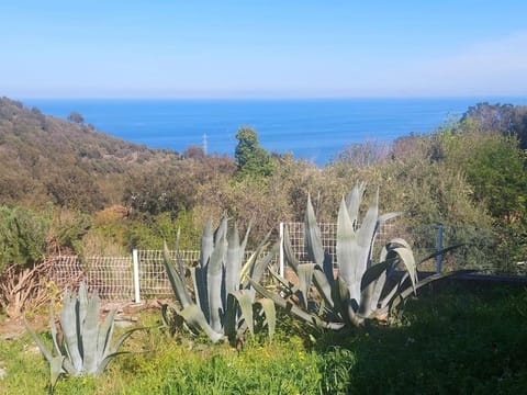 Studio terrasse climatisé VUE MER avec parking House in Bastia