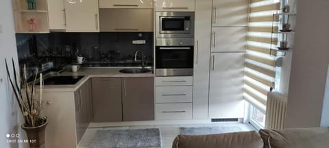 Kitchen or kitchenette, dishwasher