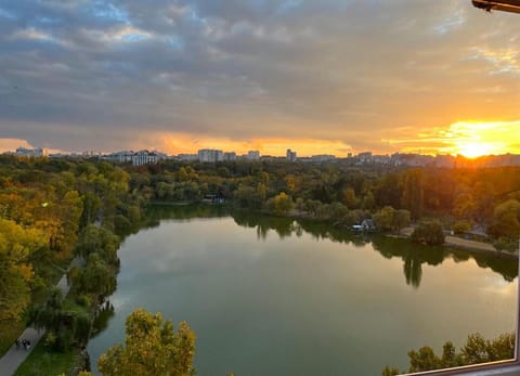 Lake view