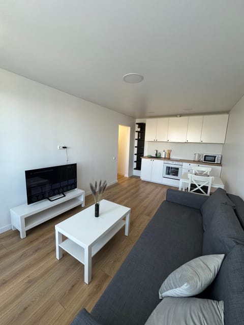 Communal lounge/ TV room, TV and multimedia, Kitchen or kitchenette, Living room, Seating area, Dining area