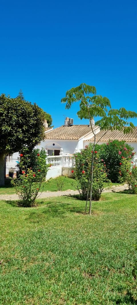 Property building, Garden, Garden view