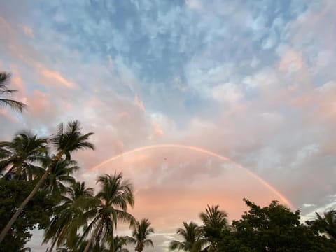 Villa Poesía Bed and Breakfast in Puerto Escondido