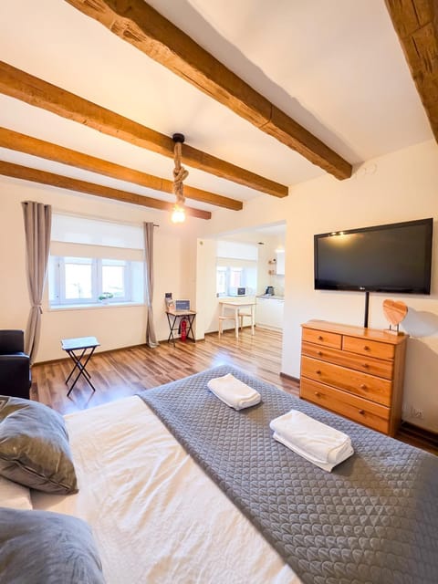 Bed, TV and multimedia, Kitchen or kitchenette, Living room, Photo of the whole room, Bedroom, towels