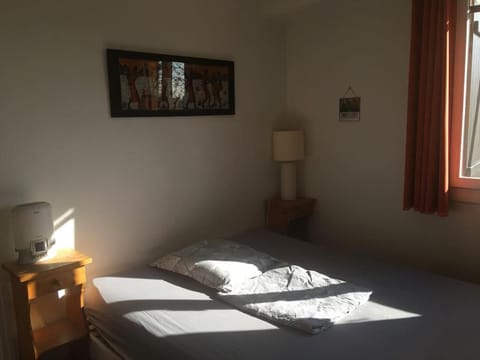 Appartement en Rez de jardin climatisée 2 pièces-cuisine avec terrasse et jardin Apartment in Lyon