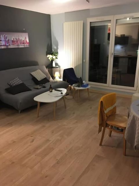 Appartement en Rez de jardin climatisée 2 pièces-cuisine avec terrasse et jardin Apartment in Lyon