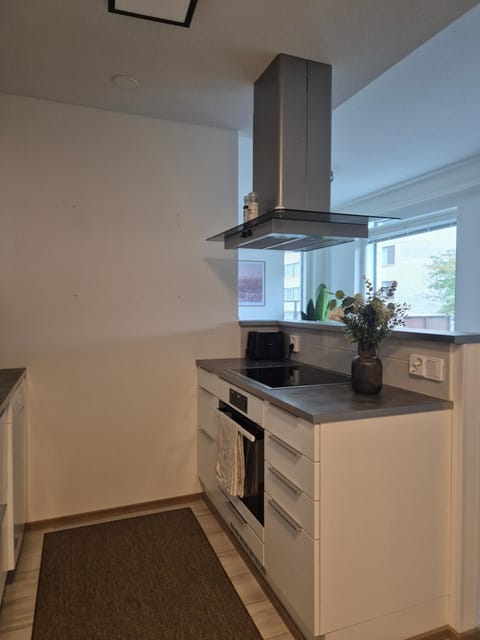 Kitchen or kitchenette, kitchen