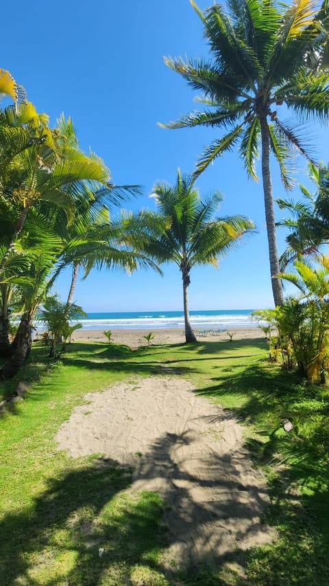Natural landscape, Beach, Sea view