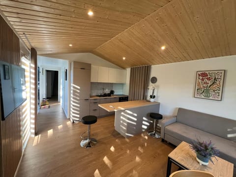 Kitchen or kitchenette, Living room, Seating area