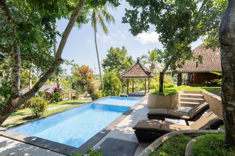 Day, Natural landscape, Garden, Garden view, Pool view, Swimming pool, Swimming pool, sunbed