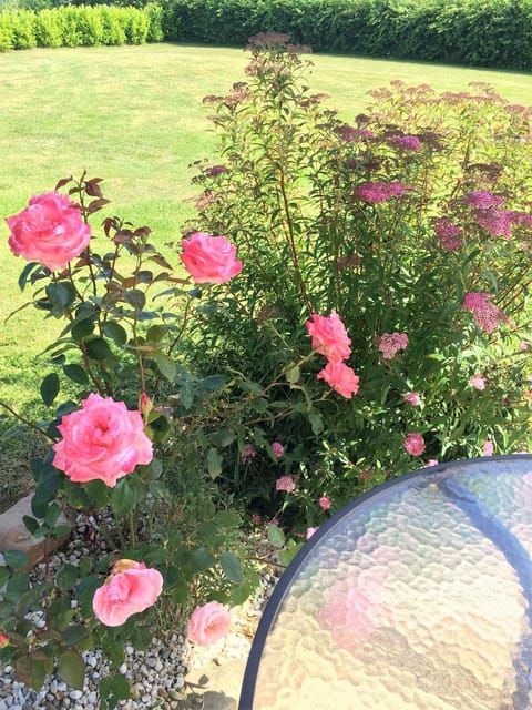 La Boulangerie Chalet in Normandy