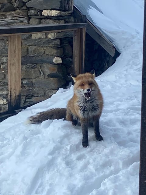 Chambres d'hôtes de Montagne "les 3 Evéchés" Nature lodge in La Grave