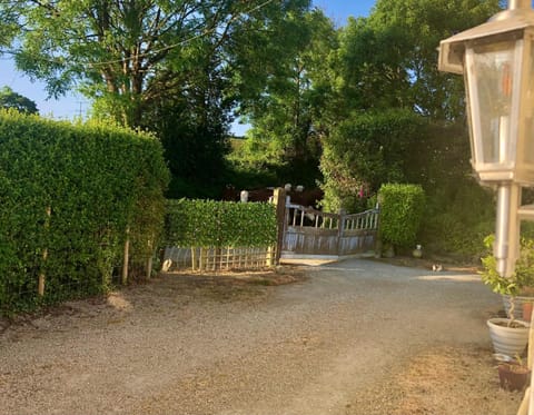 Day, Natural landscape, Garden view