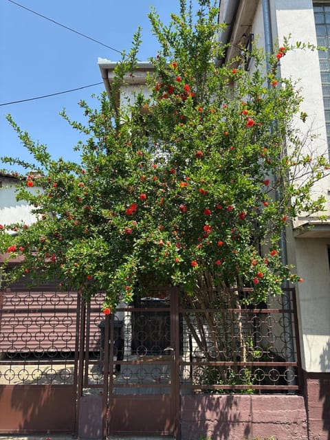 Property building, Spring, Day