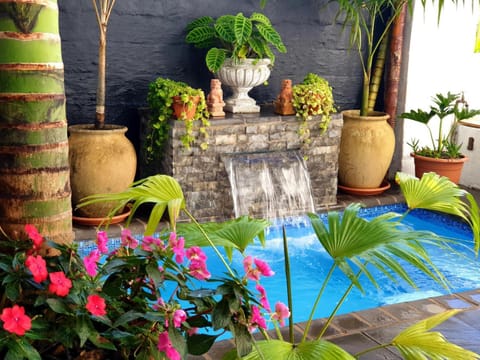 Day, View (from property/room), Garden view, Swimming pool