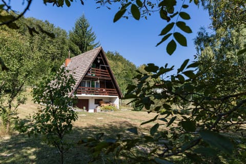 Property building, Garden, Mountain view