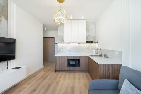 TV and multimedia, Kitchen or kitchenette, Kitchen or kitchenette, Living room, Seating area, oven, stove