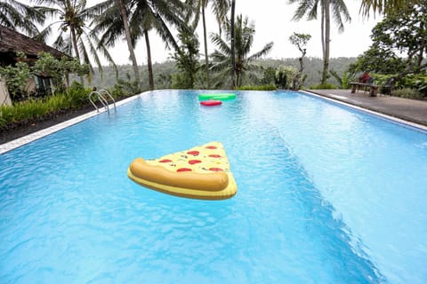 Pool view, Swimming pool