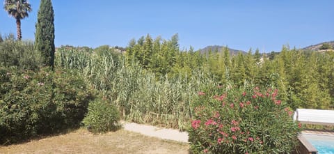 View (from property/room)