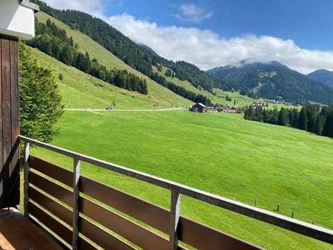 View (from property/room), Landmark view