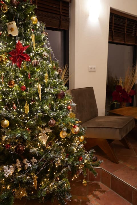 Haus Diana Apartment in Salzburgerland