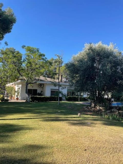 Property building, Garden, Garden