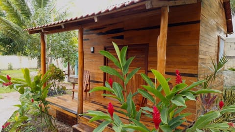 Day, Garden